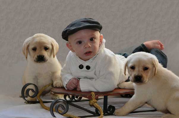 kolton-and-x-mas-pups