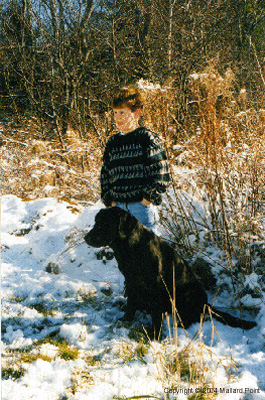 labrador19