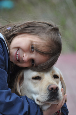 labrador41
