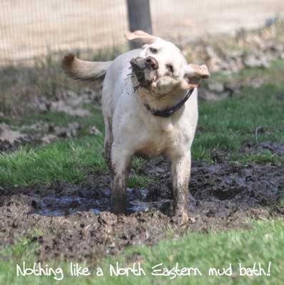 muddddd